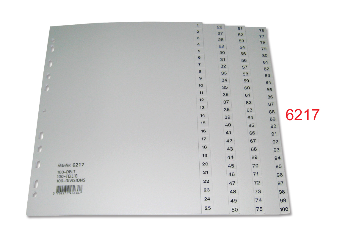 BANTEX 6217 A4 膠質數目索引分類 1-100