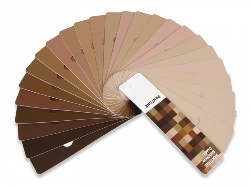 PANTONE SkinTone Guide