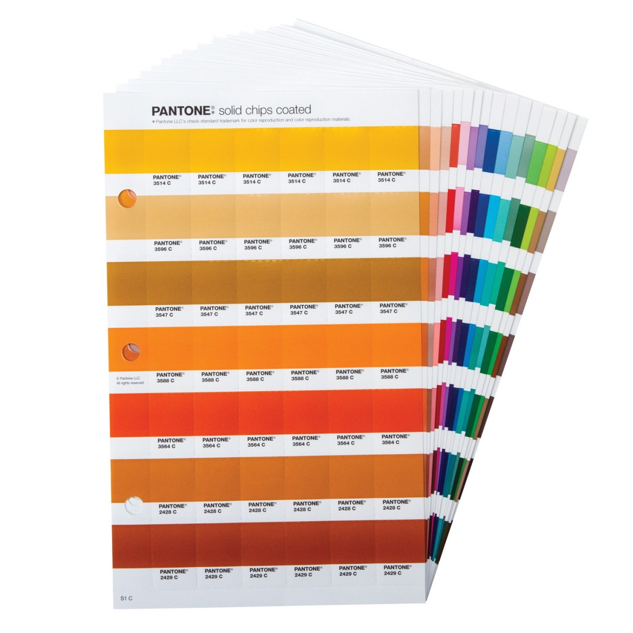 PANTONE SOLID CHIPS Coated Uncoated - Plus Series