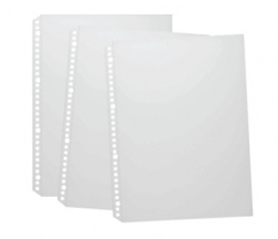 Godex A4 GX-3020R 30-Hole 資料薄替芯  / 20個/包