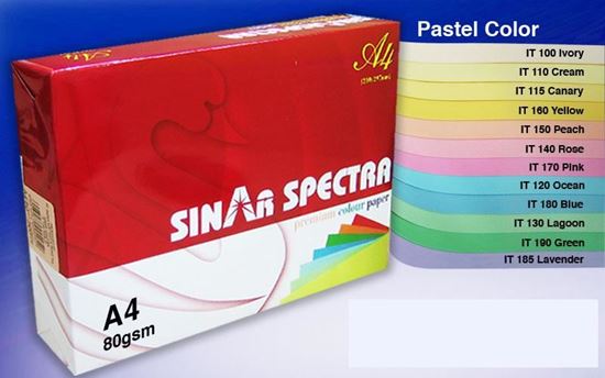 Sinar Spectra A4 80g 顏色影印紙 / 奶黃 / 110