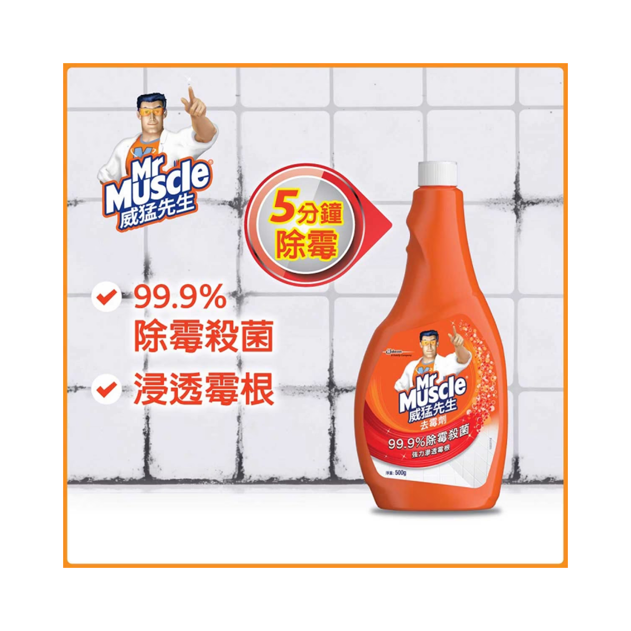 Mold Killer Refill 500G