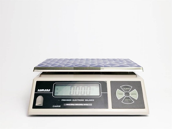 YAMADA DW series Electronic scale DW-15N ( 0.5g - 15kg)
