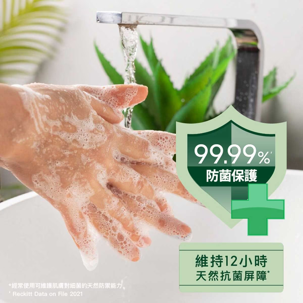滴露 經典松木潔手液 500g (1泵裝+2補充裝)