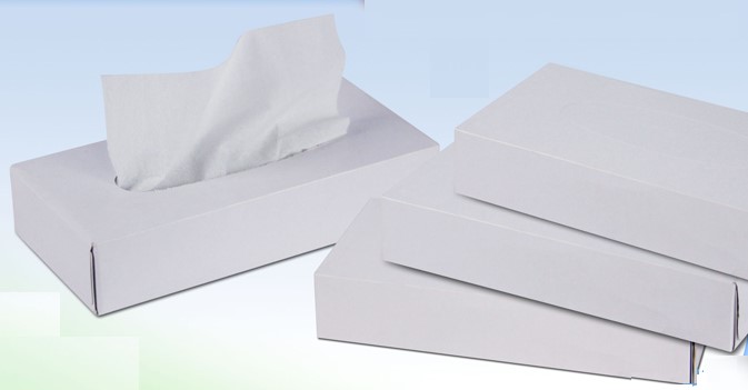 VIRJOY (白色) 扁盒面紙 100盒/箱