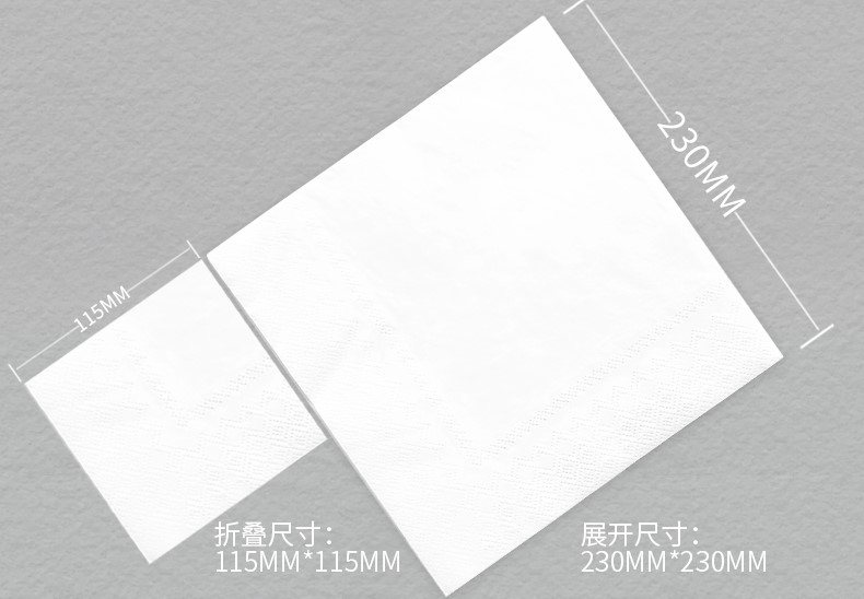 Virjoy 雙層方型餐巾 23 x 23cm / 50包/箱<Y7ABHS>