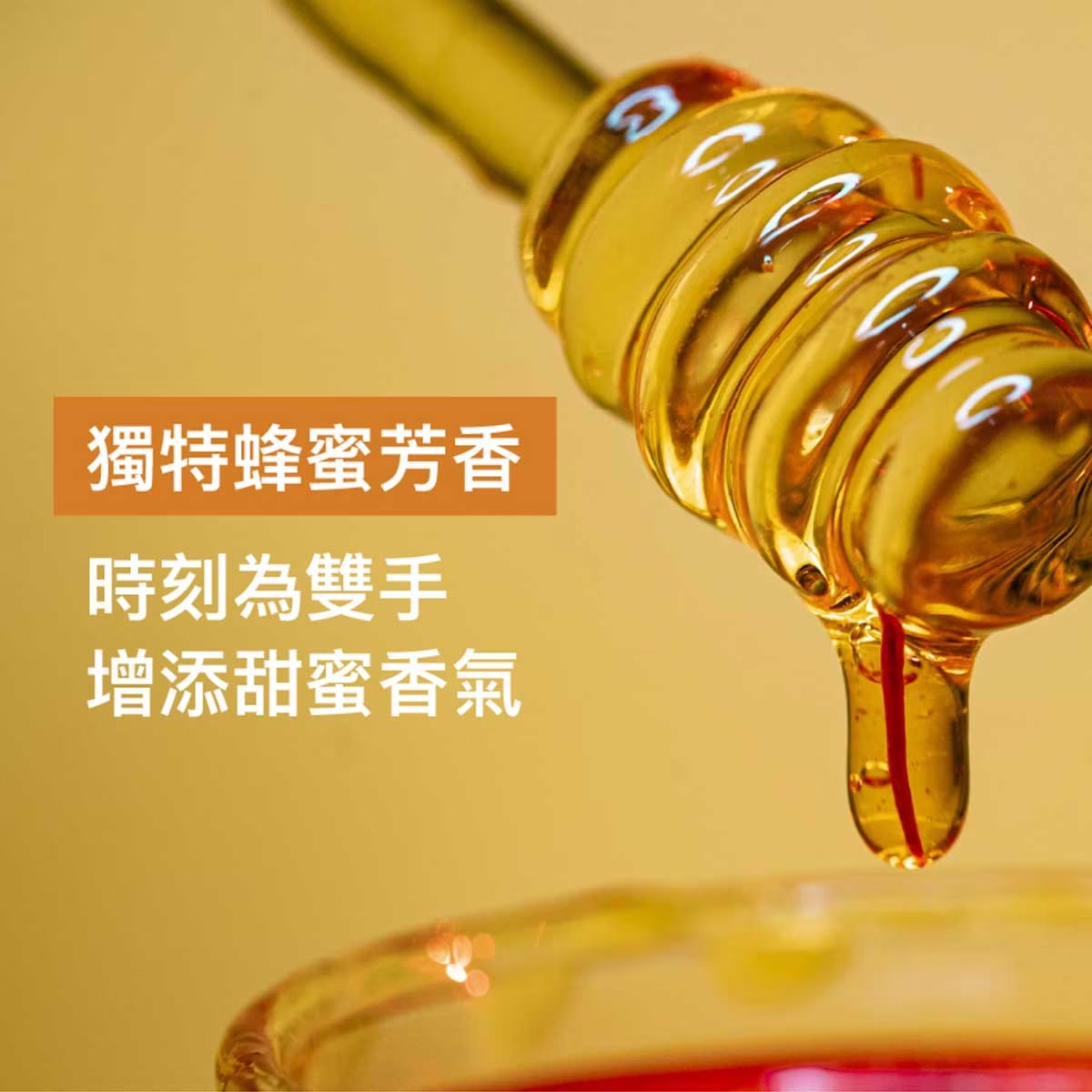 滴露 金裝經典保護殺菌潔手液 500g (3支泵裝)