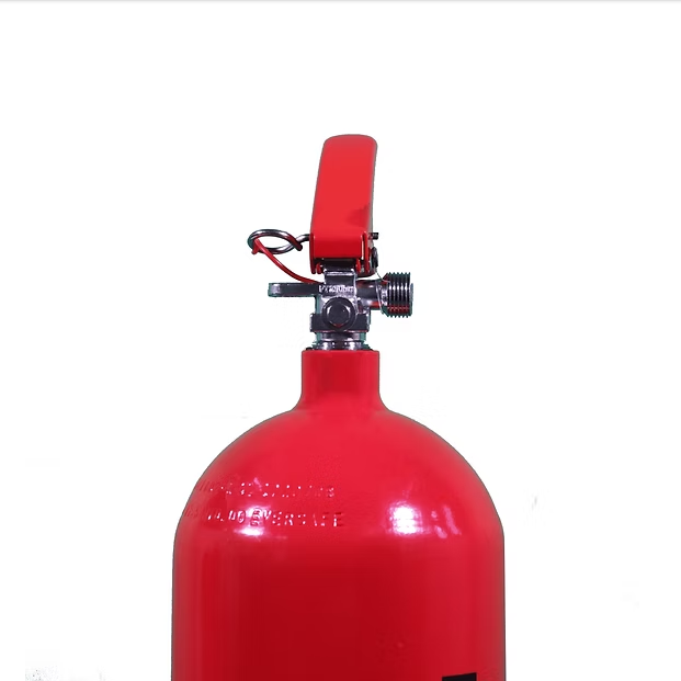 Firesafe 5KG二氧化碳滅火筒 (EEC 5e1)