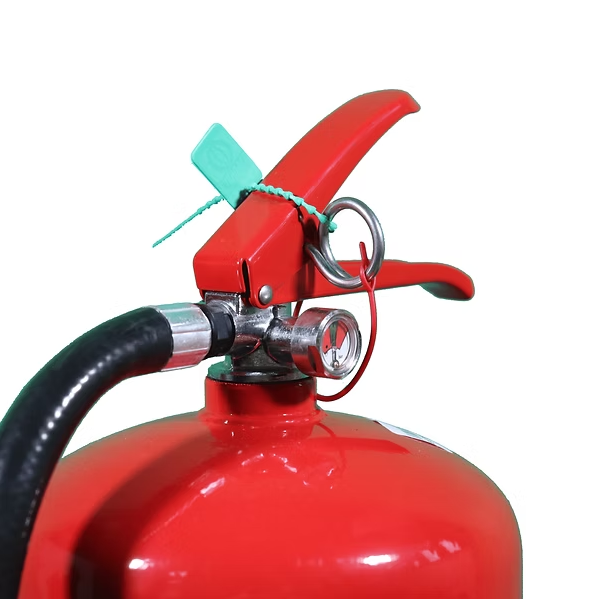Firesafe 9L 水劑滅火筒 (EEW 9s)