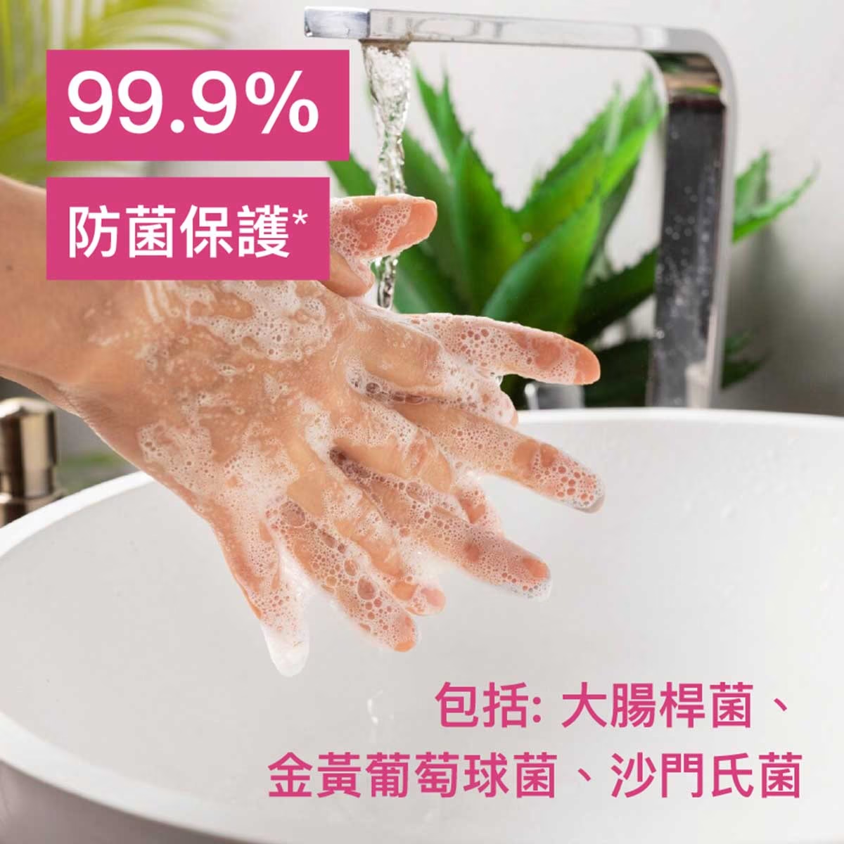 滴露滋潤倍護殺菌潔手液 500g(1泵裝+2補充裝)