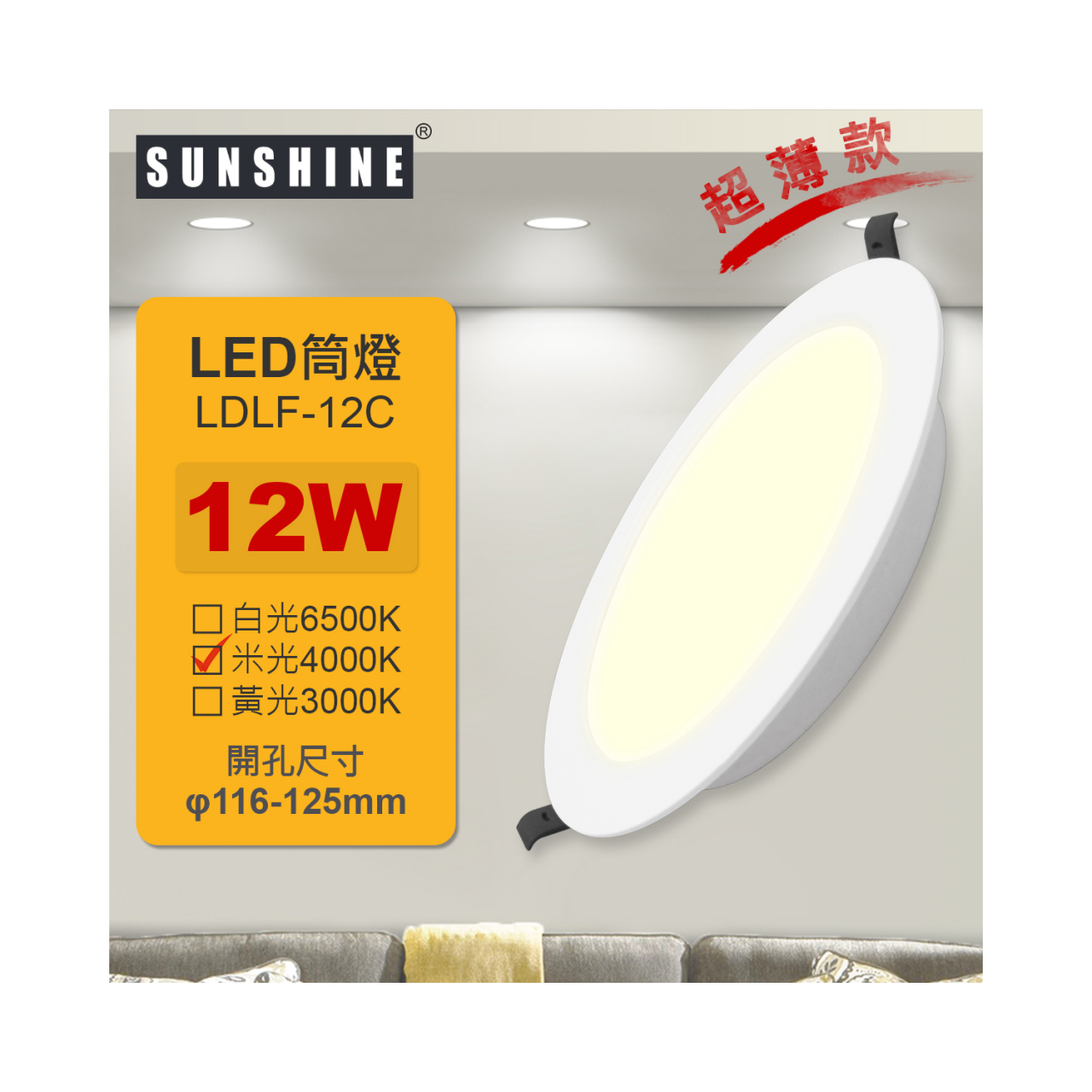 SUNSHINE LED一體化超薄筒燈 12W 4000K(LDLF-12C) 米光
