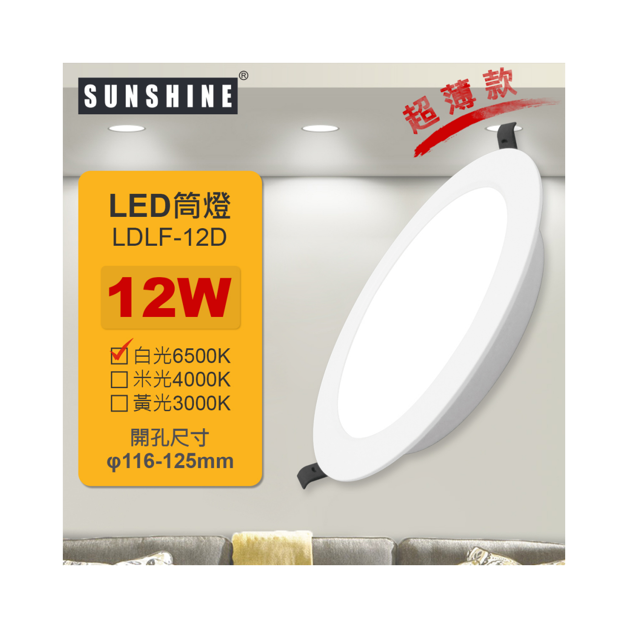SUNSHINE LED一體化超薄筒燈 12W 6500K (LDLF-12D) 白光