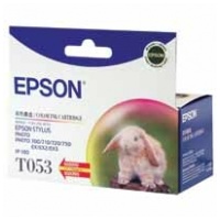 Epson Inkjet cartridge C13T053080