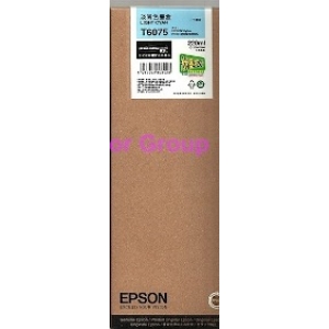 Epson Inkjet cartridge C13T607580