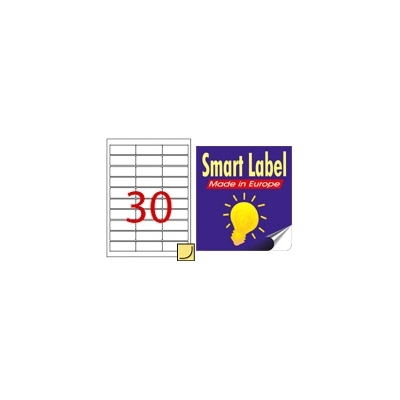 Smart 多用途標籤貼 - Model K (67mm x 25mm) 30Pcs
