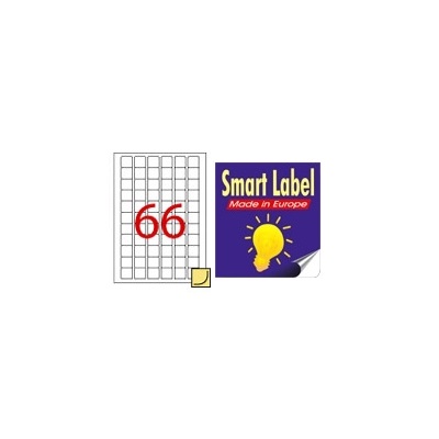 Smart 多用途标签贴 - 2501 (25.4mm x 25.4mm) 66pcs 100Sheet