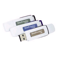 Kingston 資料儲存器 I 2GB