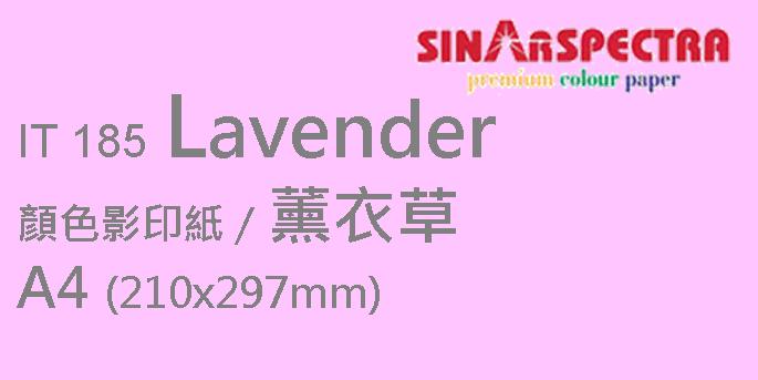 Sinar Spectra A4 80g 顏色影印紙 / 薰衣草 / 185