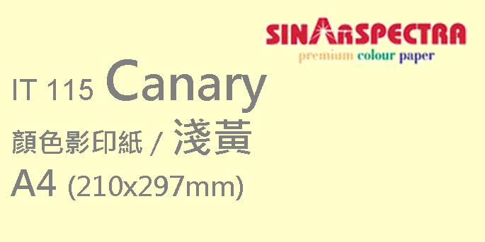 Sinar Spectra A4 80g 顏色影印紙 / 淺黃 / 115