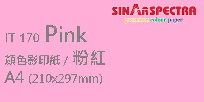 Sinar Spectra A4 80g 顏色影印紙 / 粉紅 / 170