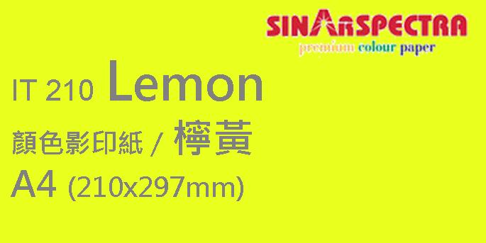 Sinar Spectra A4 80g 颜色影印纸 / 檸黃 / 210